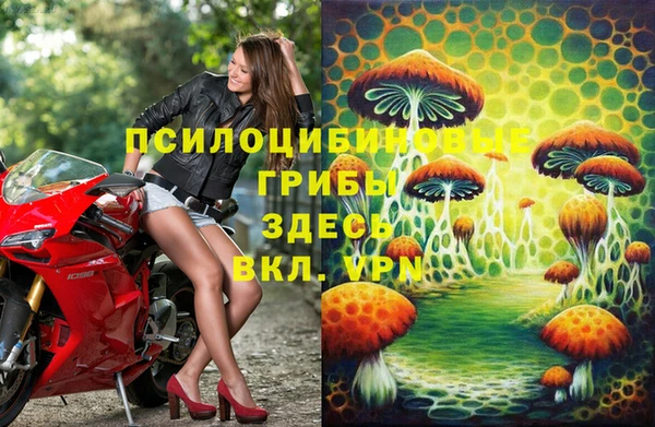 прущие грибы Сафоново