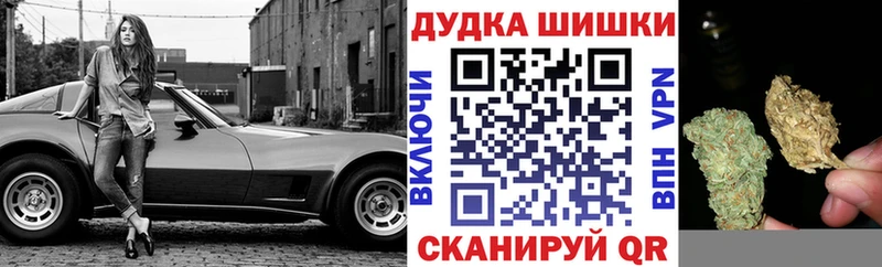 даркнет официальный сайт  Барыш  hydra как войти  Бошки марихуана White Widow  дарнет шоп 